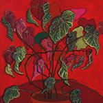 My Begonia