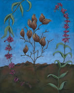 Sonoran Desert: Large and Small