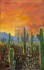 Saguaro Sunset