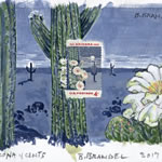 collage with postage stamps